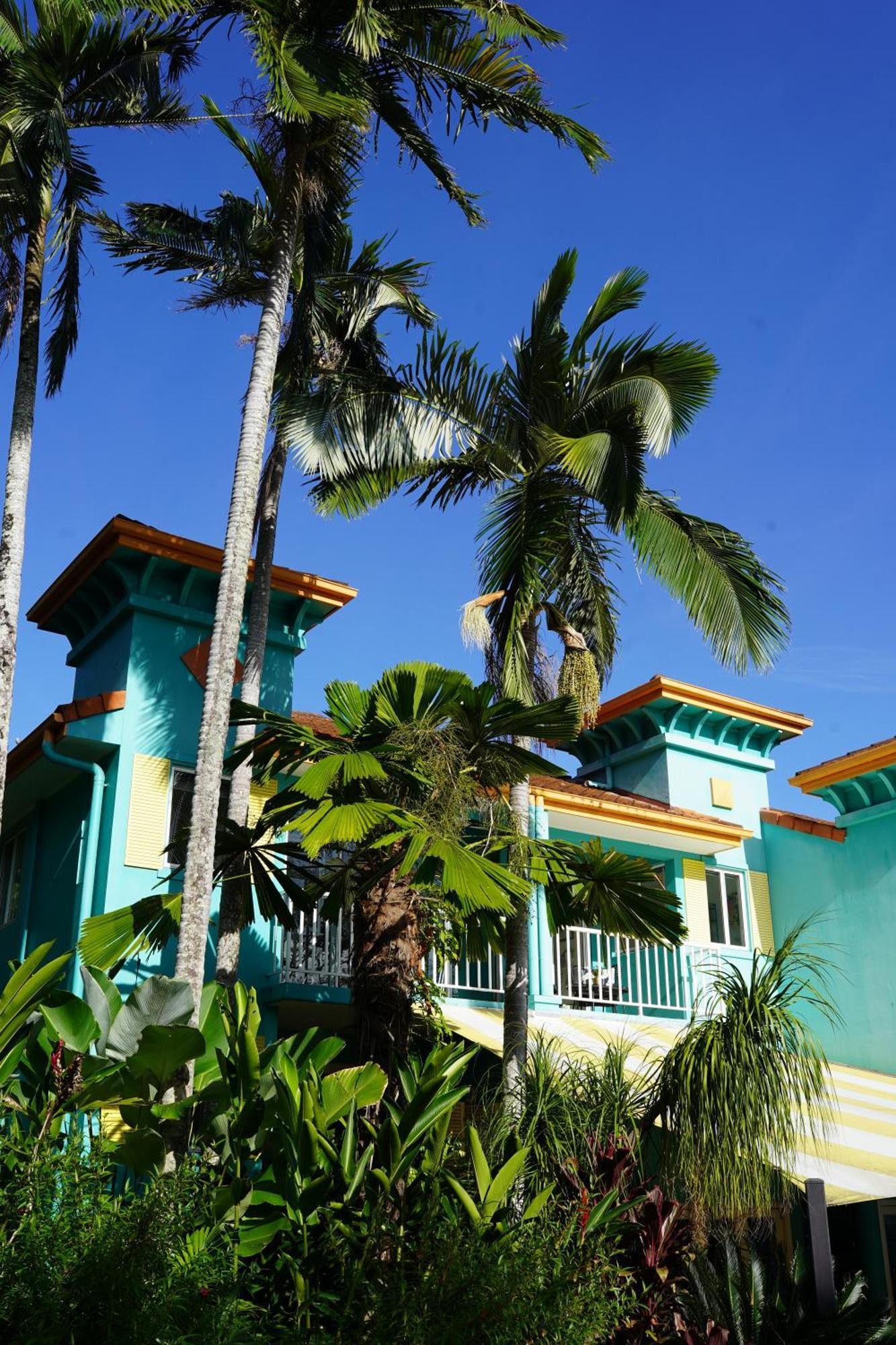 Casa Papaya Adults Only Apartment Port Douglas Exteriér fotografie